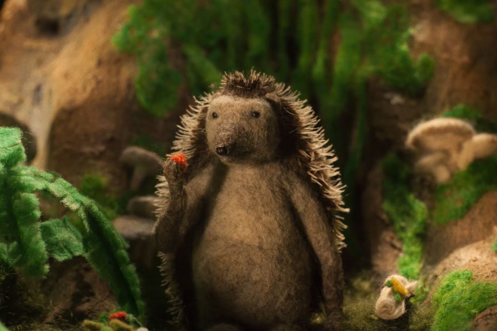 ‘Hedgehog’s Home’ directed by Eva Cvijanović.